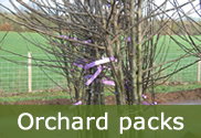 Orchard packs for sale